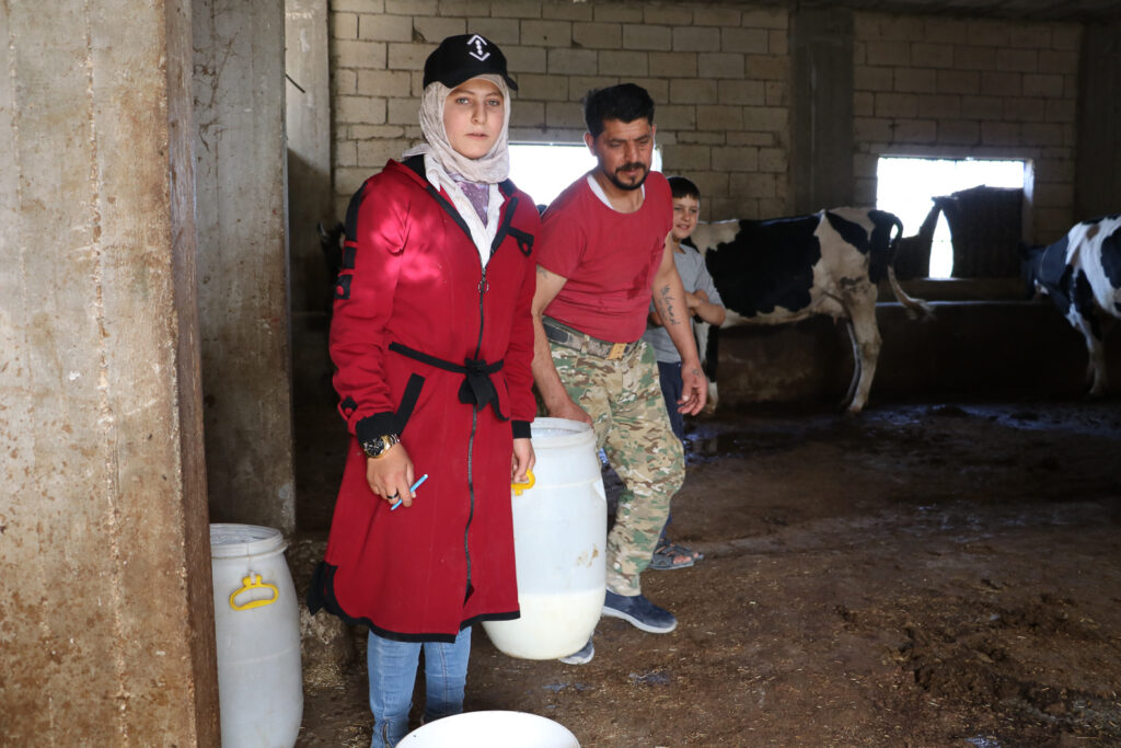 حلوم ووالدها يحملان الحليب إلى السيارة بعد انتهاء المربي من حلب الأبقار. قرية مشمشان، جسر الشغور، أيار 2025- تصوير: هيام الباشا
