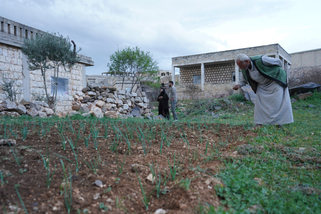 أبو محمد يتفقد المزروعات في حقله، كفرنبل، ريف إدلب، أيار 2025- تصوير: سحر زعتور