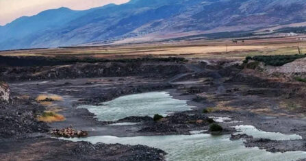 “نبدأ من نقطة الصفر”.. معركة إحياء السمك في سهل الغاب