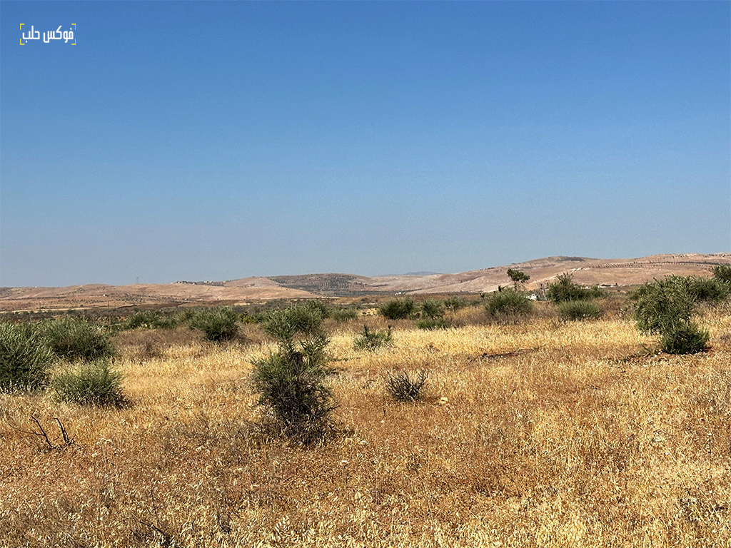 أرض زراعية معروضة للبيع في قرية ترملا بريف إدلب، ايلول 2025.