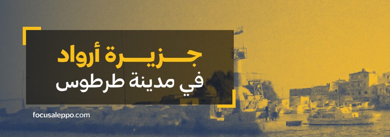 في سوريا جزيرة مأهولة.. ما الذي تعرفه عنها؟