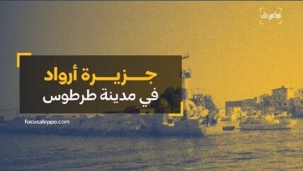 في سوريا جزيرة مأهولة.. ما الذي تعرفه عنها؟