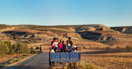 شكاوى من تباين عمل اللجان الاقتصادية في عفرين.. استعادة العقارات معقّدة