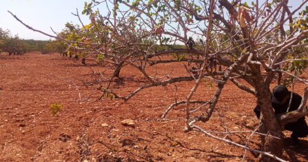 الطاقة الشمسية لا تكفي.. غياب الكهرباء يعمّق معاناة العائدين شرقي إدلب