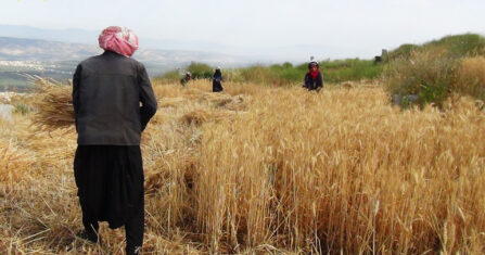 حين لا يكفي الشغف.. صحفيات سوريات بين الطموح وحدود الحركة