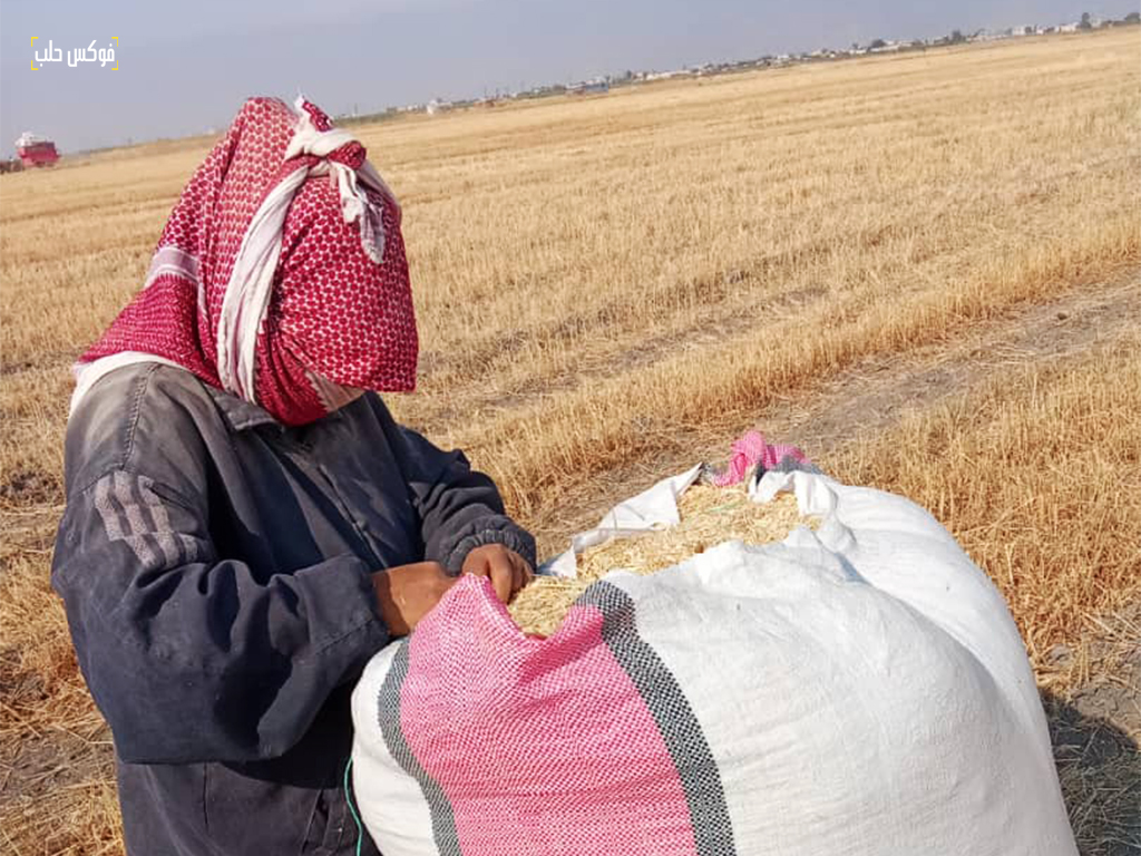 إحدى العاملات في قرية الحويز بريف إدلب