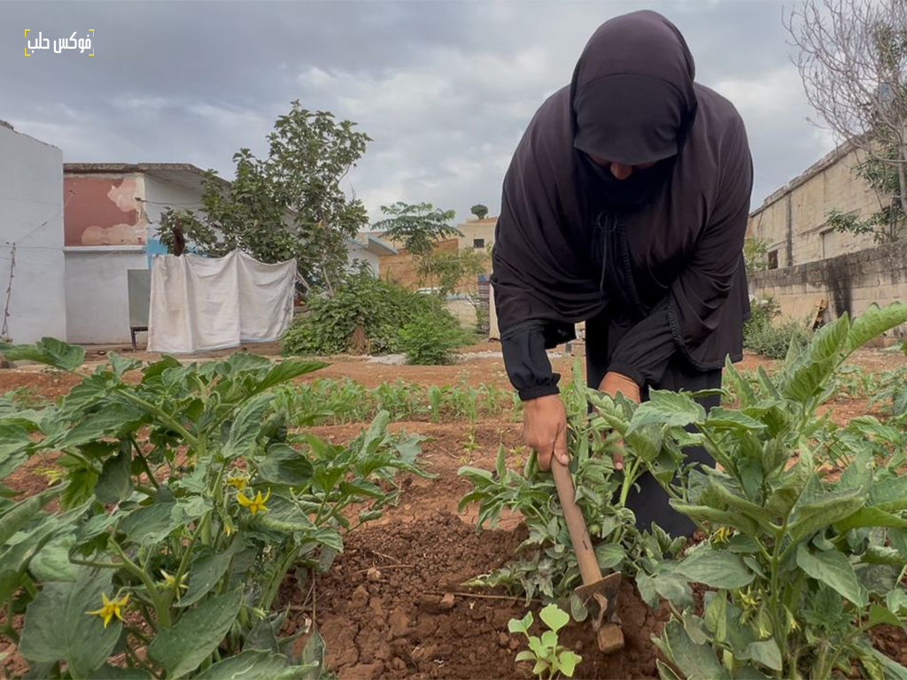 إحدى العاملات في قرية الحويز بريف إدلب
