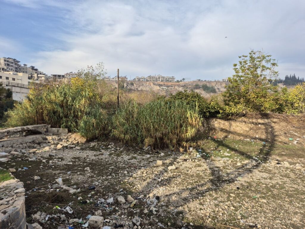 مدينة حماه، 2026.