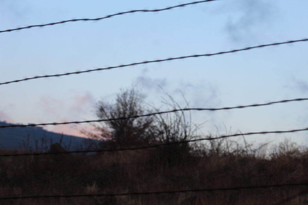 مدينة السويداء