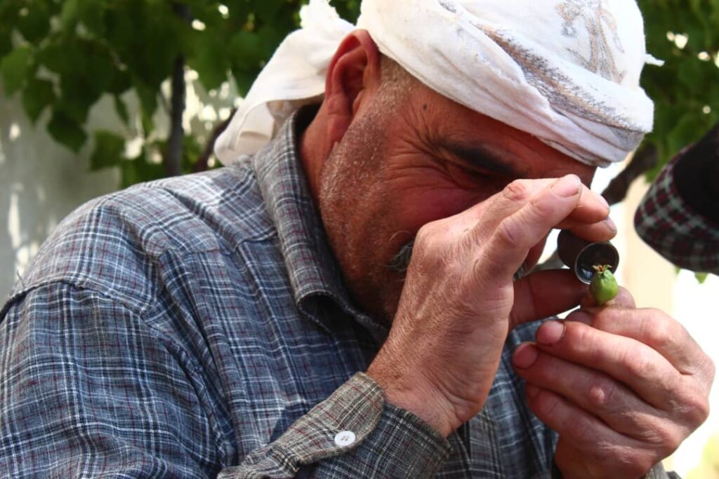 ابو حسن من مدينة السويداء، حارس في الجبل.