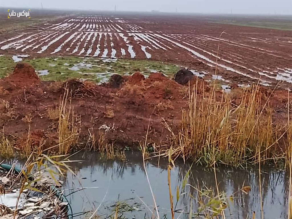 ارض مغمورة بسبب ارتفاع منسوب نهر قويق، قرية زمار، ريف حلب الجنوبي، 2026