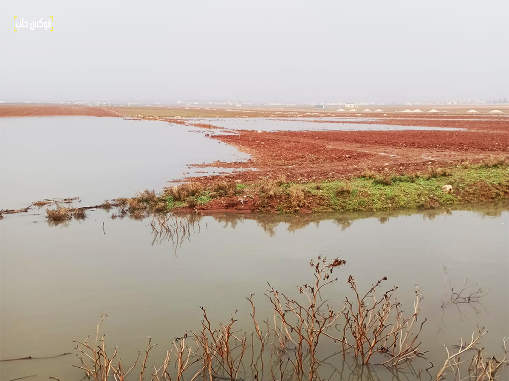 ارض مغمورة بسبب ارتفاع منسوب نهر قويق، قرية الكماري، ريف حلب الجنوبي، 2026