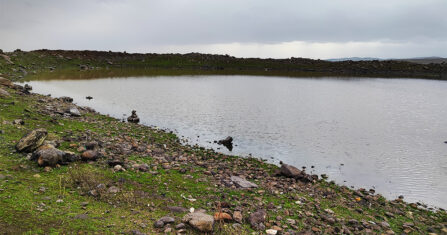 الأمطار تنعش الزراعة في ريف إدلب.. الحياة عادت للأرض بعد سنوات من الجفاف