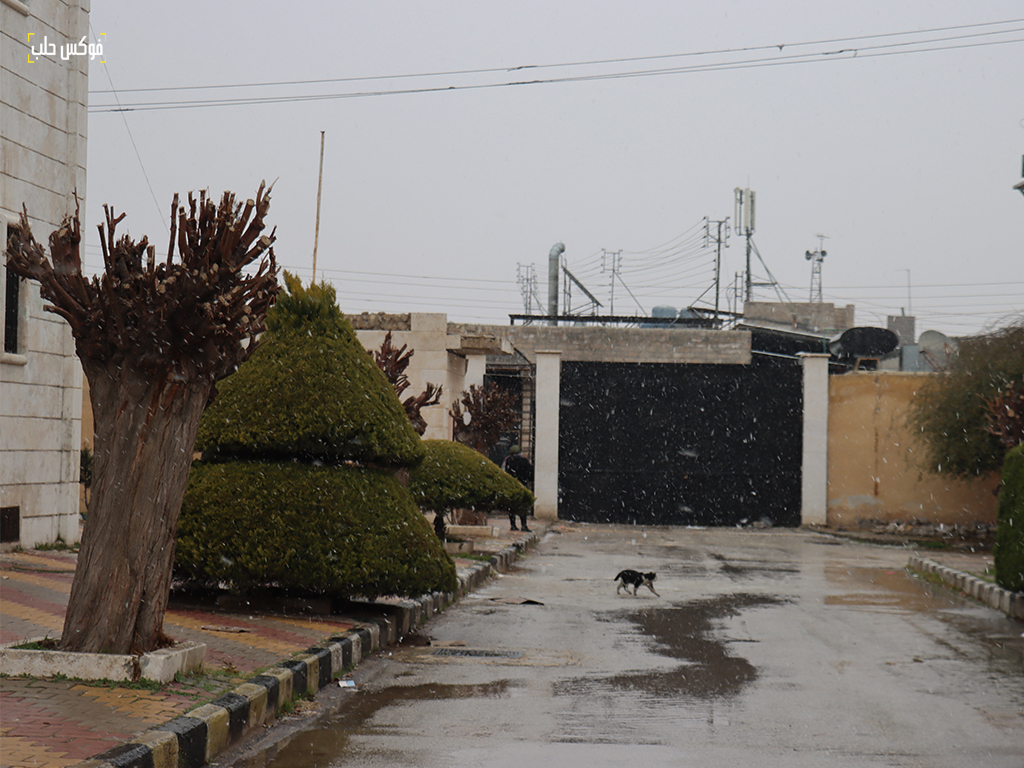 مستشفى ابن خلدون للأمراض العقلية في مدينة حلب