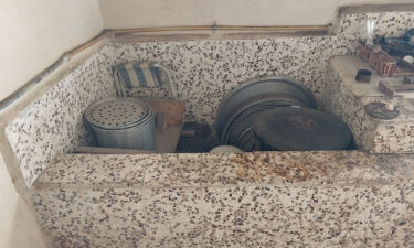 ورشة الضفادع الأخيرة.. من سواقي الغاب إلى موائد لبنان