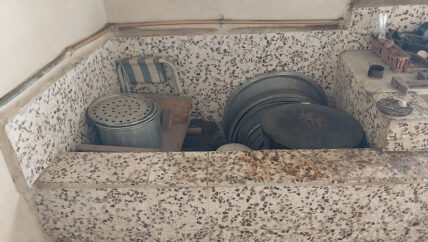 ورشة الضفادع الأخيرة.. من سواقي الغاب إلى موائد لبنان