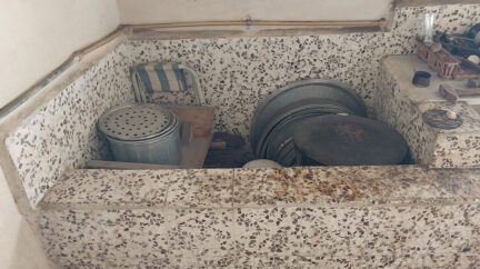 ورشة الضفادع الأخيرة.. من سواقي الغاب إلى موائد لبنان