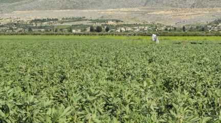 خسائر كبيرة للمزارعين نتيجة موجة البَرَد والسيول في ريفي حلب وإدلب