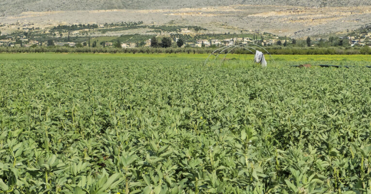 خسائر كبيرة للمزارعين نتيجة موجة البَرَد والسيول في ريفي حلب وإدلب