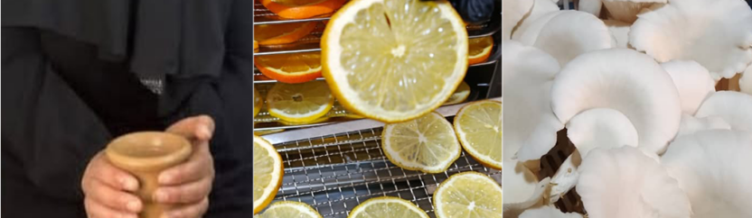 نساء في ريف إدلب يبدأن مشاريعهن الصغيرة