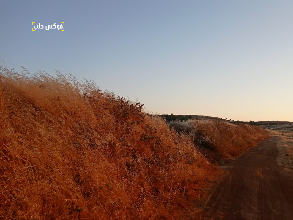 سواتر ترابية في قرية سفوهن بريف إدلب-فوكس حلب