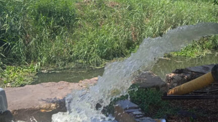 في مواجهة مياه الصرف.. هل تنقذ الطحالب بساتين حلب؟