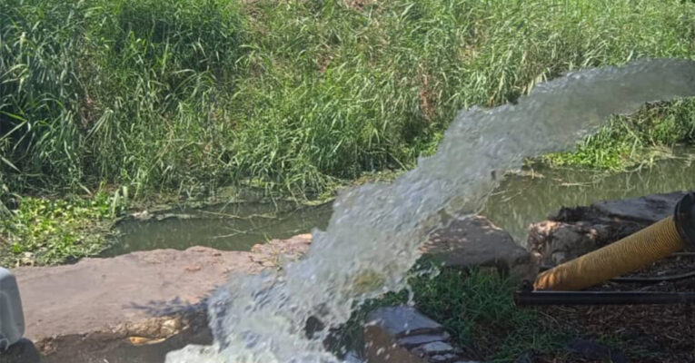 في مواجهة مياه الصرف.. هل تنقذ الطحالب بساتين حلب؟