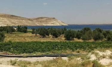    جرح الملكيات في الجزيرة السورية.. من يعيد الحقوق لأصحابها