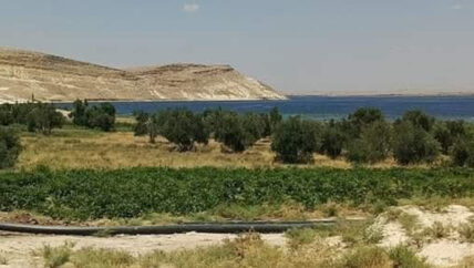    جرح الملكيات في الجزيرة السورية.. من يعيد الحقوق لأصحابها