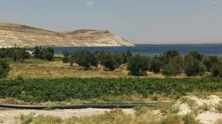    جرح الملكيات في الجزيرة السورية.. من يعيد الحقوق لأصحابها