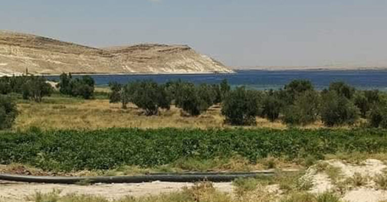   جرح الملكيات في الجزيرة السورية.. من يعيد الحقوق لأصحابها